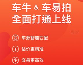 大搜车车牛与车易拍全面打通 双平台融合如何推动二手车市场迈向高效时代与新能源汽车销售的新格局